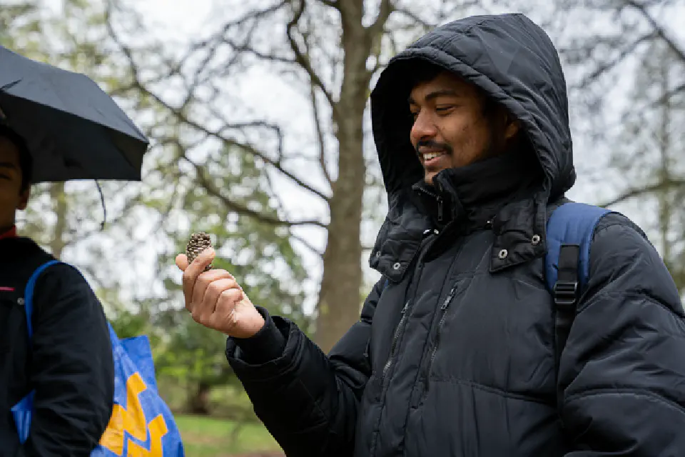 student in rain coat looking at pine cone