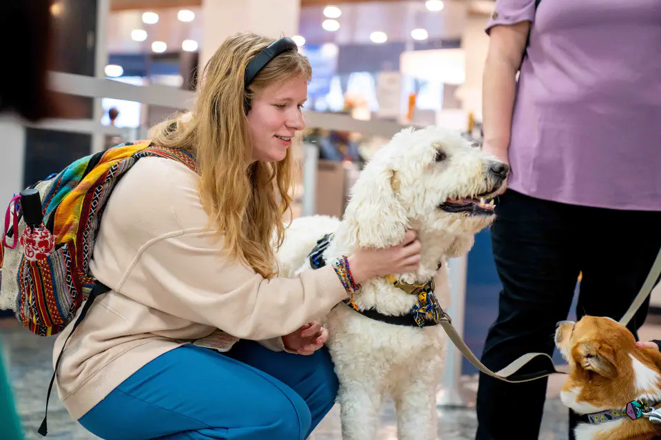 Student pets a therapy dog while visiting with animals during a wellness event in the Mountainlair.