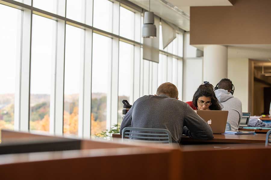 Students study next to windows at the Health Sciences Library